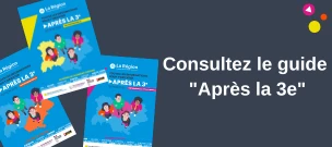 Vignette O'rêka pour contenu Guide Après la 3e.webp