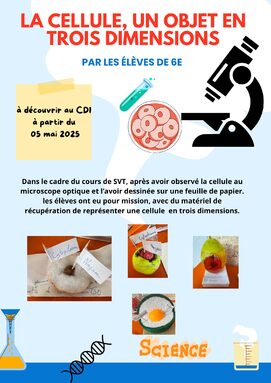 La cellule, un objet en trois dimensions.jpg